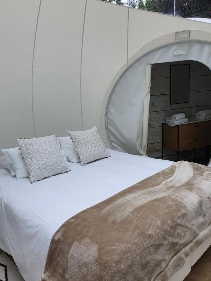 Chateau De Montabert Montaulin 外观 照片