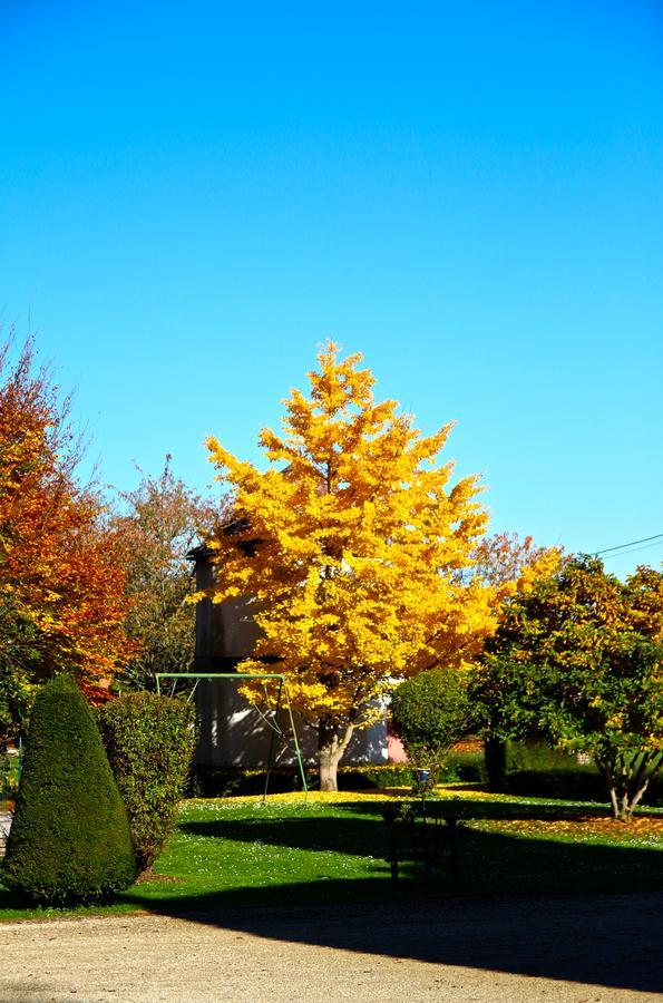 Chateau De Montabert Montaulin 外观 照片